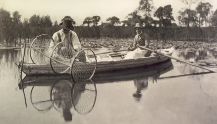 Das Setzen des Bogennetzes, Leben und Landschaft auf den Norfolk Broads; um 1886